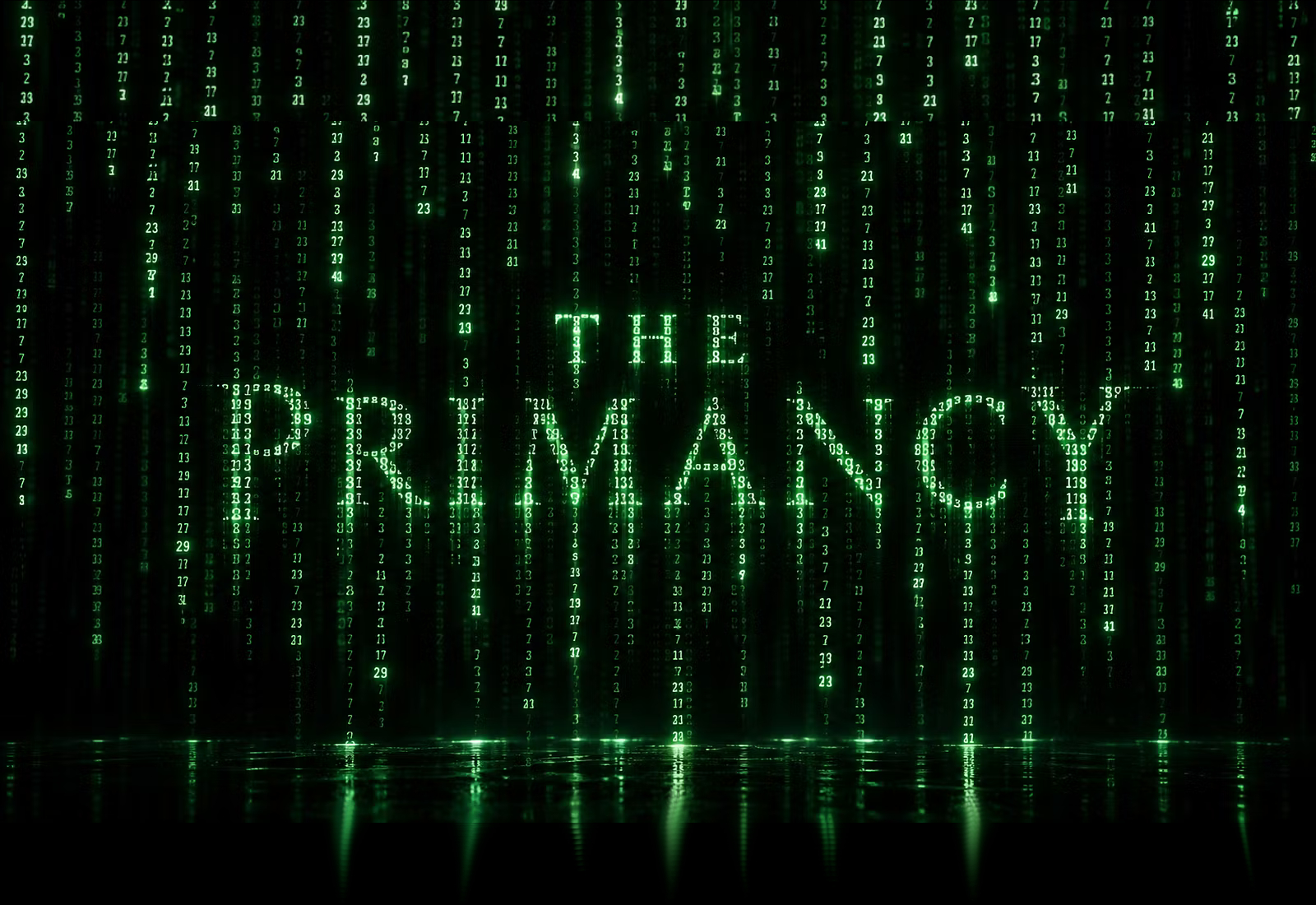 Reflect with The Primancy